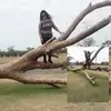 Fiorela Ayala - @fiorela.ayala76 - TikTok