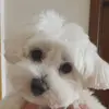 Fiore Derosa - @fiore.derosa - TikTok