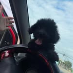 Fiorella Espinales - @fiorellaespinales - Instagram