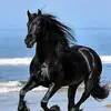Fiorella Vecchio - @gaeta780 - TikTok