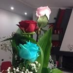 Fiorella Vecchione - @fiorellavecchione - Instagram