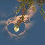 Firas Alkhateeb - Facebook
