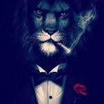boss_iq - @bashirfiras69 - Instagram