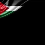 Firas Al Bashir - @firasalbashir - Instagram