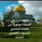 Firas Faraj - @fragferas - Instagram