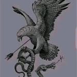 Firas Harb - @firasharb2 - Instagram