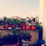 Firas Issa - Facebook