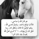 Firas Odeh - @odeh_firas - Instagram