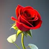 Firdous Mirza169 - @firdousmirza169 - TikTok
