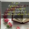 firdous_mirza1 - @firdous_mirza1 - TikTok
