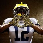 Adam Roberts - @fireballroberts10 - Instagram