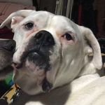 Fireball Roberts - @fireball_roberts_44 - Instagram