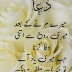 Firoz Mohammad - @fero.z7457 - Instagram