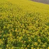 Firoz mohammad - @firozmodul - TikTok