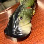 Fish Guy - @picwiththefish - Instagram