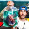 Fish Guy - Chris - @fish.guys.chris - TikTok