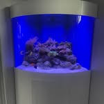 The Fish Guy Aquarium Services - @fishguy__aquariumservice - Instagram