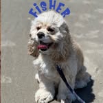 Fisher Johnson III - @fisherjohnsoniii - Instagram