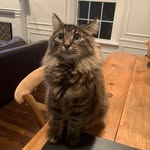 Fisher Jones - @fish.jones - Instagram