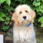 Fisher Jones - @fishthedood - Instagram