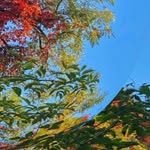 Fisher Jones - @fisherjones707 - Instagram