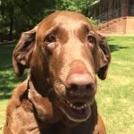Fisher jones - @fisherbob124 - Instagram