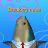 fish_news - @_fish_news - TikTok