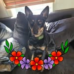 Donna Fitzgerald Anderson - @donna.anderson.7311352 - Instagram