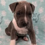 Kash Fitzgerald Anderson - @kash.fitz - Instagram