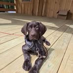 Bryce Fitzgerald - Facebook