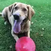jasonfitzgeraldsimmons1 - @jasonfitzgeraldsimmons1 - TikTok