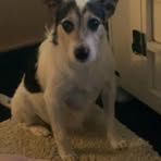 Stewie Fitzgerald - Facebook