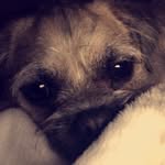 Bruno Fitzgerald Wheeler - @brunonot_mars - Instagram