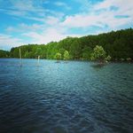 five_for_fighting - @five_for_fighting - Instagram
