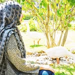 Fizza Saeed - @_fizza_9 - Instagram