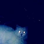 Fizza..Saeed - @fiz5859 - Instagram