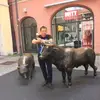 Flamur Cani118 - @m4n1_097 - TikTok
