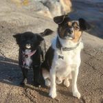𝗙𝗹𝗮𝘀𝗵 𝗚𝗼𝗿𝗱𝗼𝗻 & 𝗭𝗮𝗹𝗹𝘆 - @flashgordon_zally - Instagram