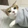 唐新宇 - @flavia_tang - TikTok