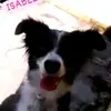 Flavio Arruda - @flavio.arruda05 - TikTok