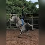 Flávio Augusto🪶 - @flavioaugusto_26 - Instagram