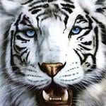 Marco Flavio Carrillo Olivares - @marcoflaviocarrilloolivares - Instagram
