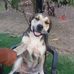Flavio Castro - Facebook