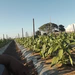 Flavio Cesar Cuevas Magdaleno - @flaviocesarcuevasmagdaleno - Instagram