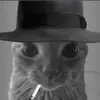 Flavito - @flaviocuevas06 - TikTok