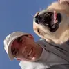 flaviogreco8 - @flaviogreco8 - TikTok