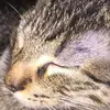 Flavio Isaac - @flavioisaac2 - TikTok