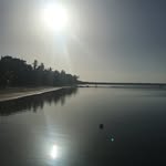 Flavio Jimenez - @flaviojimenez13 - Instagram