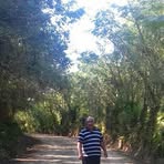 Flavio Avalos Landeros - Facebook
