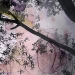 Flavio Micheli - @flavio_micheli_ - Instagram